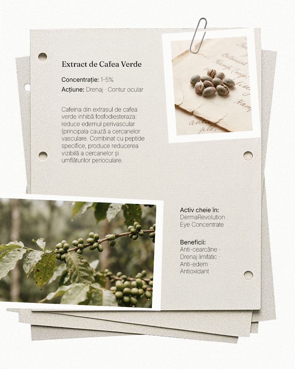 Green coffee extract ingredient card beside a coffee plant photograph.